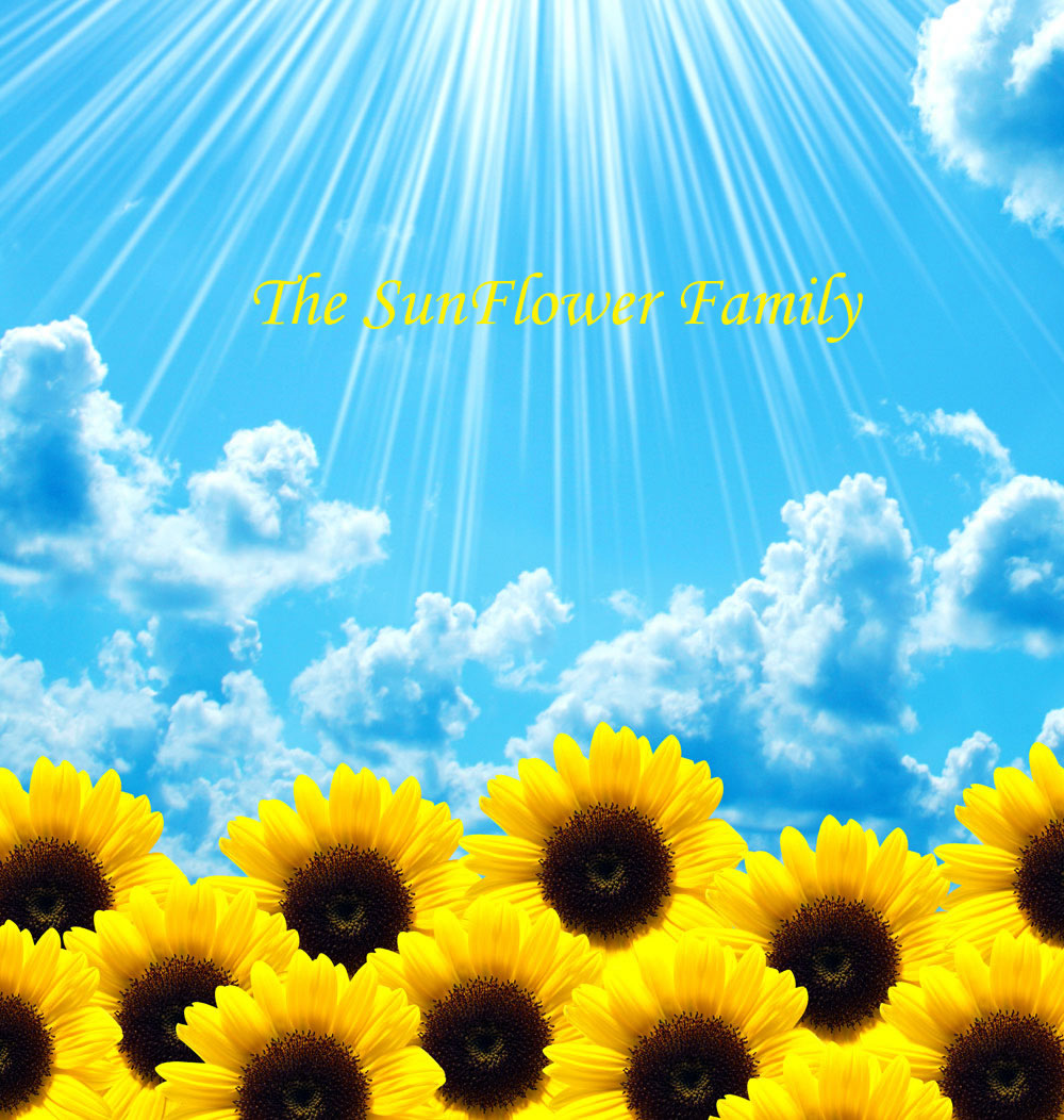 The SunFlower Family-THE FREE SKY